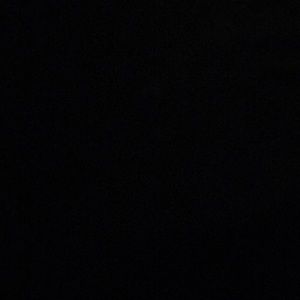 Meet your Posher, Terrence